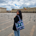 Bolso Puffy Bag Cuadros Azules